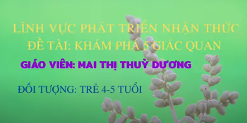 HOẠT ĐỘNG KHÁM PHÁ 5 GIÁC QUAN